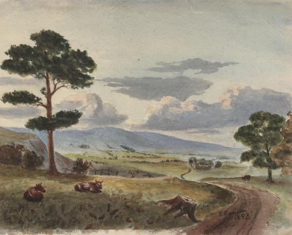 Record Image